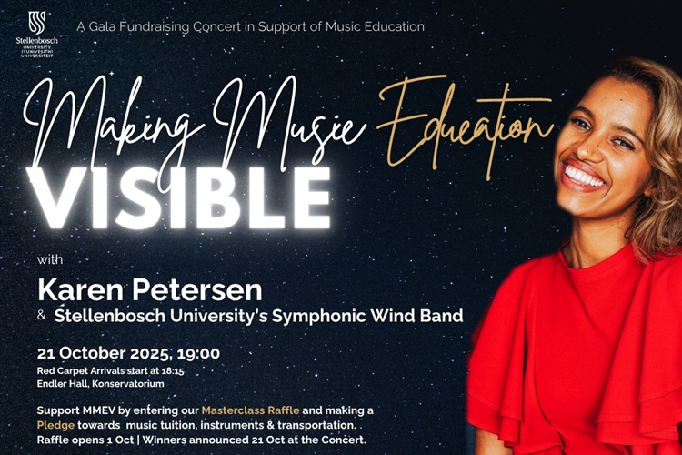Making Music Education Visible